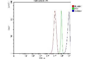 Flow Cytometry analysis of RT4 cells using anti-TRIM29 antibody (ABIN7600245).