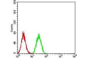Flow Cytometry (FACS) image for anti-BCL2/adenovirus E1B 19kDa Interacting Protein 3 (BNIP3) (AA 50-155) antibody (ABIN5858883) (BNIP3 Antikörper  (AA 50-155))
