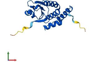 AlphaFold protein structure predicition of Mouse Recombinant Dusp28 Protein, UniprotID Q8BTR5