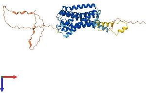 GPR63 Protein (AA 1-425) (His tag)