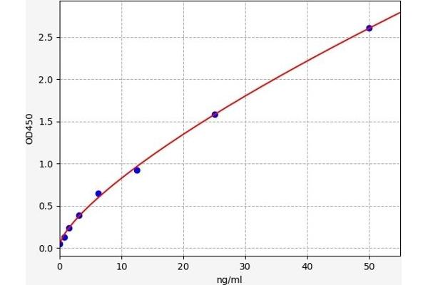 GLUT1 ELISA Kit