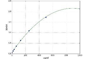 A typical standard curve