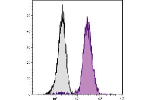 C57BL/6 mouse bone marrow cells were stained with Mouse Anti-Mouse CD45. (CD45.2 Antikörper  (SPRD))