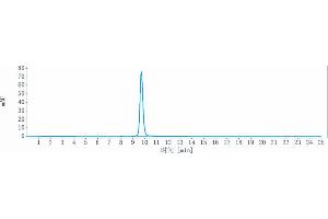 anti-CTLA-4 (Tremelimumab Biosimilar) antibody