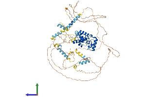 Protein Structure (PS) image for Myb-Like Protein 1 (MYBL1) (AA 1-752) protein (His tag) (ABIN7549628)