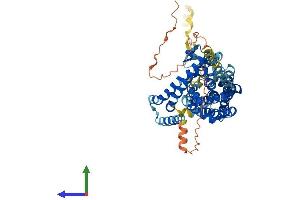 Protein Structure (PS) image for Solute Carrier Family 1 (Glial High Affinity Glutamate Transporter), Member 2 (SLC1A2) (AA 1-574) protein (His tag) (ABIN7547203)