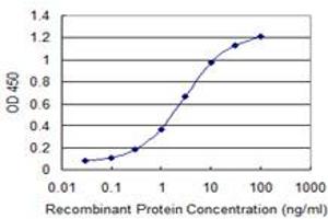 Detection limit for recombinant GST tagged OTOP2 is 0. (Otopetrin 2 Antikörper  (AA 423-493))