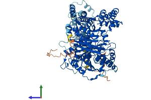 Protein Structure (PS) image for Carnitine Palmitoyltransferase 1C (CPT1C) (AA 1-803) protein (His tag) (ABIN7553532)