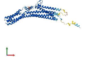 Protein Structure (PS) image for Tweety Homolog 1 (TTYH1) (AA 1-450) protein (His tag) (ABIN7544838)