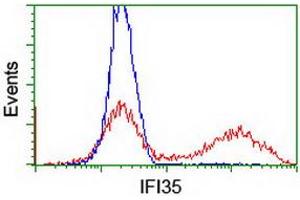 HEK293T cells transfected with either RC200929 overexpress plasmid (Red) or empty vector control plasmid (Blue) were immunostained by anti-IFI35 antibody (ABIN2454901), and then analyzed by flow cytometry. (IFI35 Antikörper)