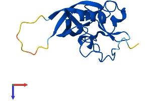 GGACT Protein (AA 1-153) (His tag)