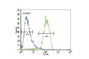 Flow cytometric analysis of HepG2 cells (right histogram) compared to a negative control cell (left histogram). (RASGRP1 Antikörper  (AA 495-521))