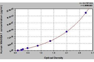 MAGEA1 ELISA Kit