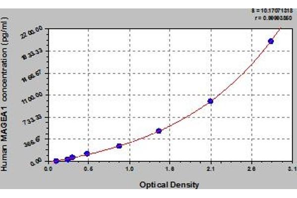 MAGEA1 ELISA Kit