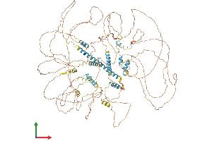 Protein Structure (PS) image for Nuclear Receptor Interacting Protein 1 (NRIP1) (AA 1-1158) protein (His tag) (ABIN7554788)