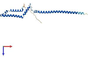 PMF1 Protein (AA 1-205) (His tag)