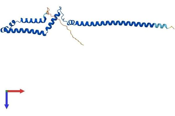 PMF1 Protein (AA 1-205) (His tag)