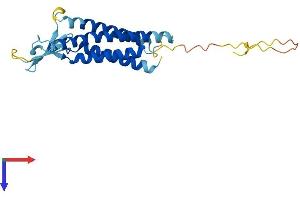 Claudin 3 Protein (CLDN3) (AA 1-219) (His tag)