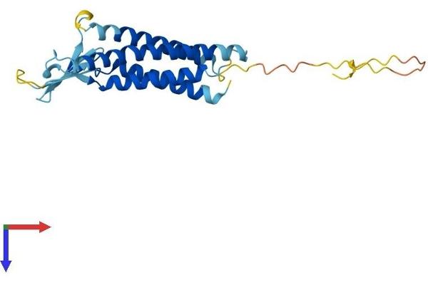 Claudin 3 Protein (CLDN3) (AA 1-219) (His tag)