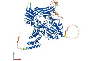 Protein Structure (PS) image for F-Box Protein 11 (FBXO11) (AA 1-846) protein (His tag) (ABIN7557146)