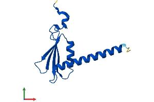 Protein Structure (PS) image for Polymerase (RNA) II (DNA Directed) Polypeptide J, 13.3kDa (POLR2J) (AA 1-117) protein (His tag) (ABIN7562197)