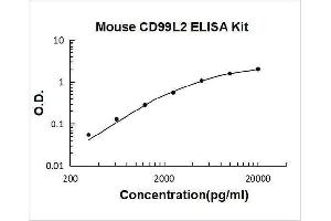 CD99 Molecule-Like 2 (CD99L2) ELISA Kit