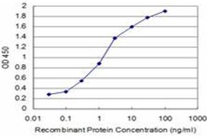 Detection limit for recombinant GST tagged SMAD7 is approximately 0. (SMAD7 Antikörper  (AA 160-260))