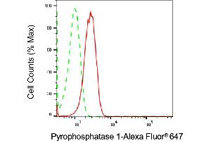 Flow cytometric analysis of Pyrophosphatase 1 expression in HT- cells using Pyrophosphatase 1 antibody (ABIN7800077), 1:2,000).