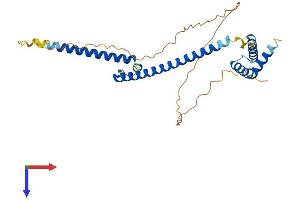 MLX Protein (AA 1-298) (His tag)