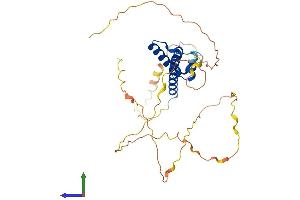 Protein Structure (PS) image for Neurogenic Differentiation 6 (NEUROD6) (AA 1-337) protein (His tag) (ABIN7549778)
