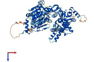 DHX32 Protein (AA 1-744) (His tag)
