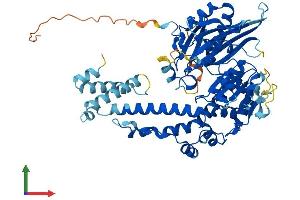 AlphaFold protein structure predicition of Human Recombinant DENND6B Protein, UniprotID Q8NEG7