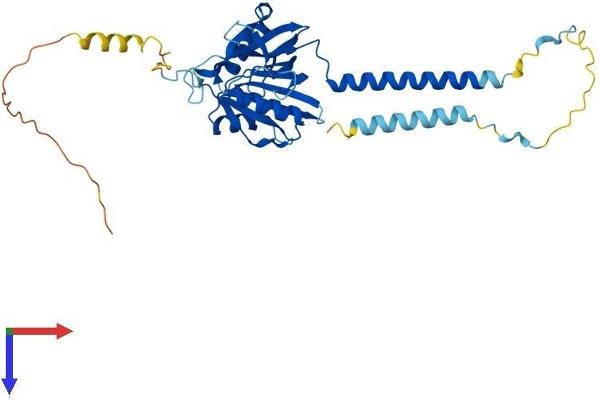 BRIX1 Protein (AA 1-353) (His tag)