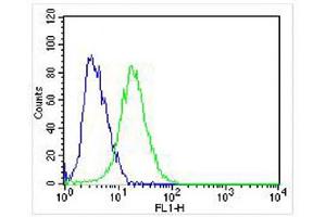 Overlay histogram showing SH-SY5Y cells stained with (ABIN6242228 and ABIN6578319) (green line). (NGFR Antikörper  (C-Term))