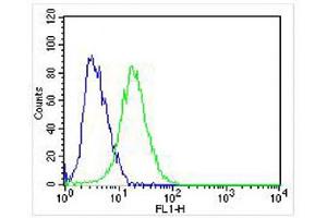 Overlay histogram showing SH-SY5Y cells stained with (ABIN6242228 and ABIN6578319) (green line). (NGFR Antikörper  (C-Term))