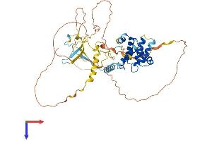 CABLES2 Protein (AA 1-476) (His tag)