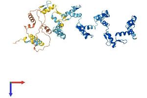 ZNF20 Protein (AA 1-532) (His tag)