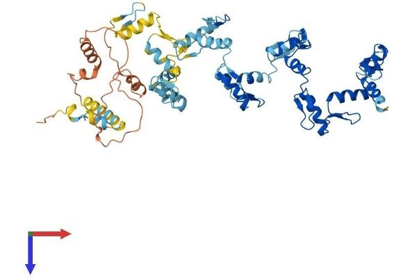 ZNF20 Protein (AA 1-532) (His tag)