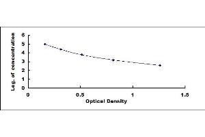 Dystroglycan 1 (DAG1) ELISA Kit