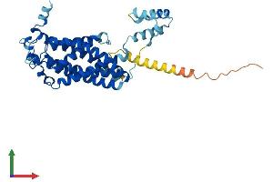 Protein Structure (PS) image for Ceramide Synthase 3 (CERS3) (AA 1-383) protein (His tag) (ABIN7556995)