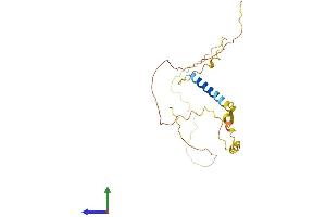AlphaFold protein structure predicition of Mouse Recombinant Caly Protein, UniprotID Q9DCA7
