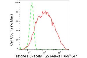 Flow cytometric analysis of Histone H3 (acetyl K27) expression in HeLa cells using Histone H3 (acetyl K27) antibody (ABIN7798971), 1:2,000). (Rekombinanter Histone 3 Antikörper  (H3K27ac))