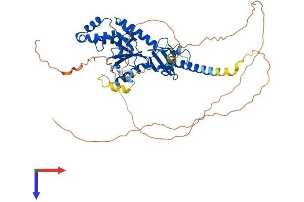 CACNB4 Protein (AA 1-520) (His tag)