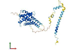 Protein Structure (PS) image for Immunoglobulin (CD79A) Binding Protein 1 (IGBP1) (AA 1-340) protein (His tag) (ABIN7557685)