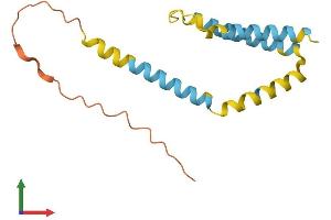 AlphaFold protein structure predicition of Mouse Recombinant Bik Protein, UniprotID O70337