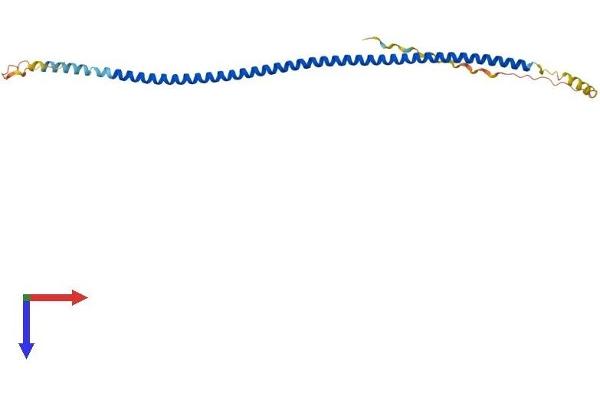 SYCE1L Protein (AA 1-242) (His tag)
