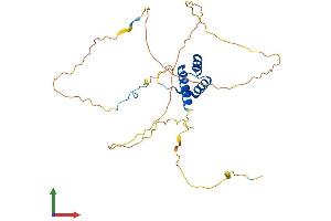 Protein Structure (PS) image for Homeobox B1 (HOXB1) (AA 1-297) protein (His tag) (ABIN7562922)