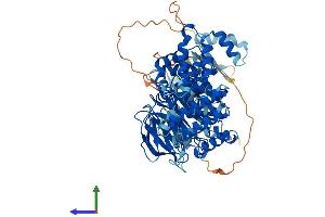 Protein Structure (PS) image for Phospholipase A2-Activating Protein (PLAA) (AA 1-794) protein (His tag) (ABIN7563027)