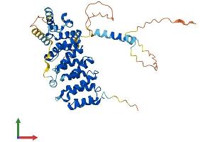 Protein Structure (PS) image for Bystin-Like (BYSL) (AA 1-437) protein (His tag) (ABIN7552911)