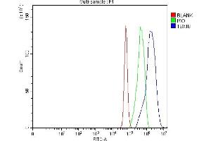 Flow Cytometry analysis of U87 cells using anti-TBX18 antibody (ABIN7599494).